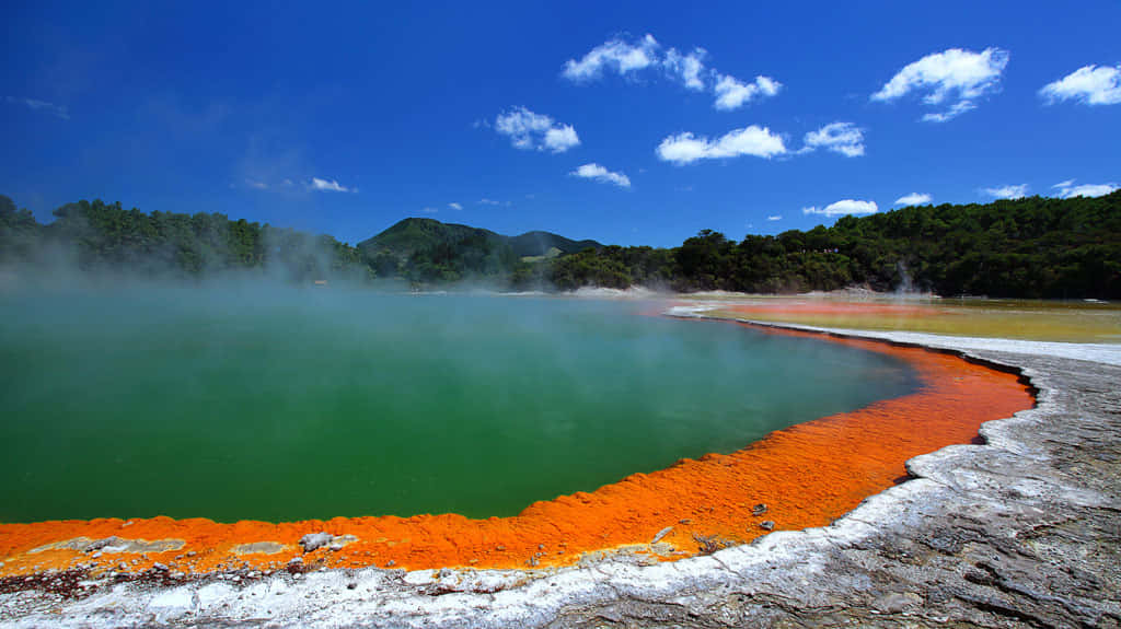 Rotorua Geothermal Wonderland Wallpaper