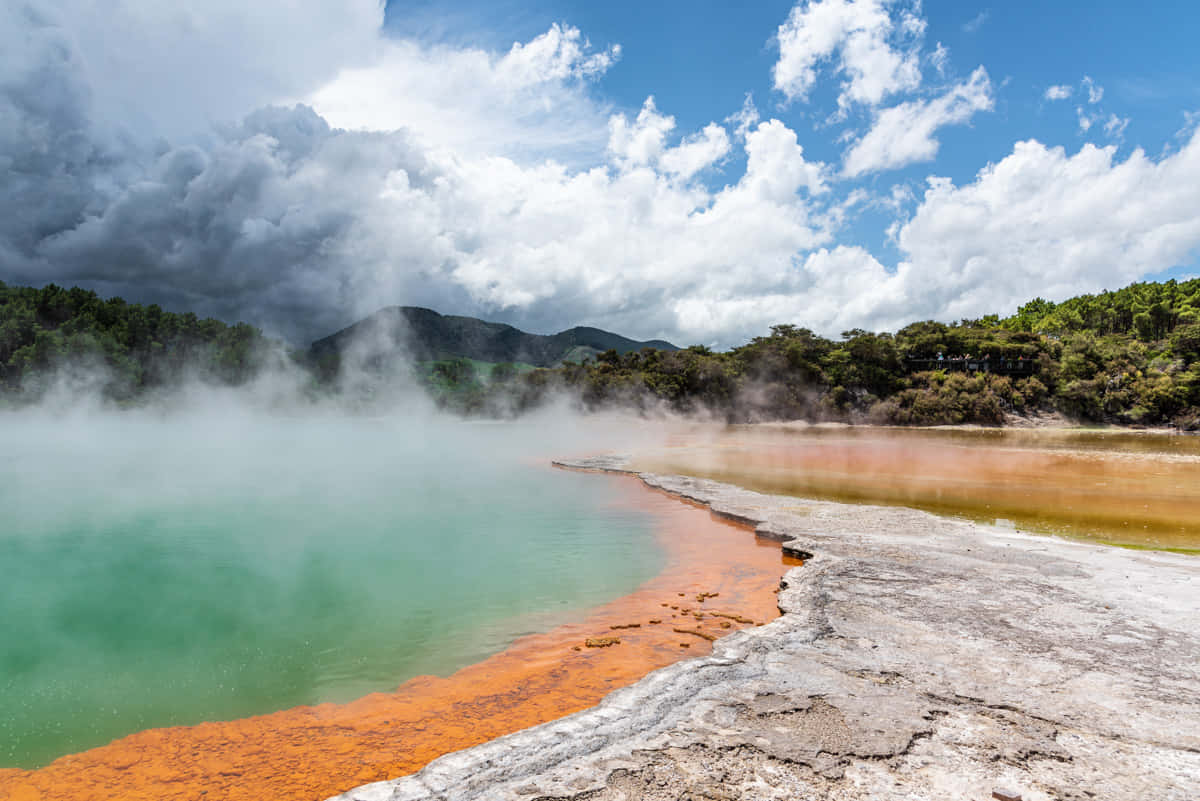 Rotorua Geothermal Wonderland Wallpaper