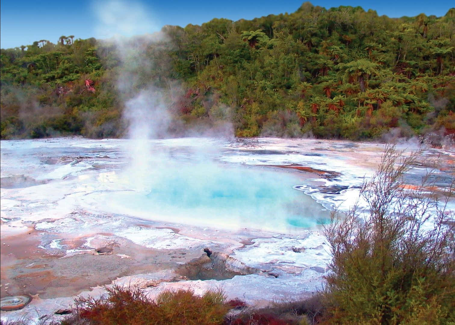 Rotorua Geothermal Wonderland Wallpaper