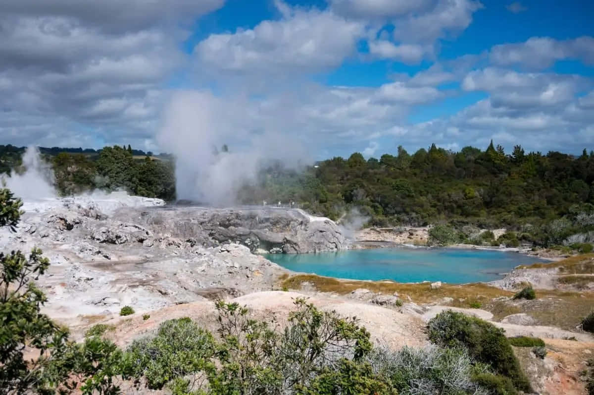 Rotorua Geothermal Wonderland.jpg Wallpaper