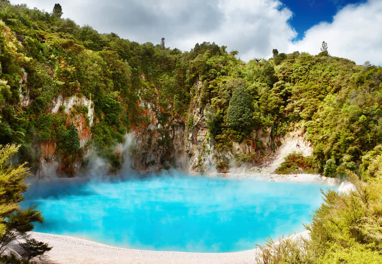 Rotorua Geothermal Wonderland.jpg Wallpaper