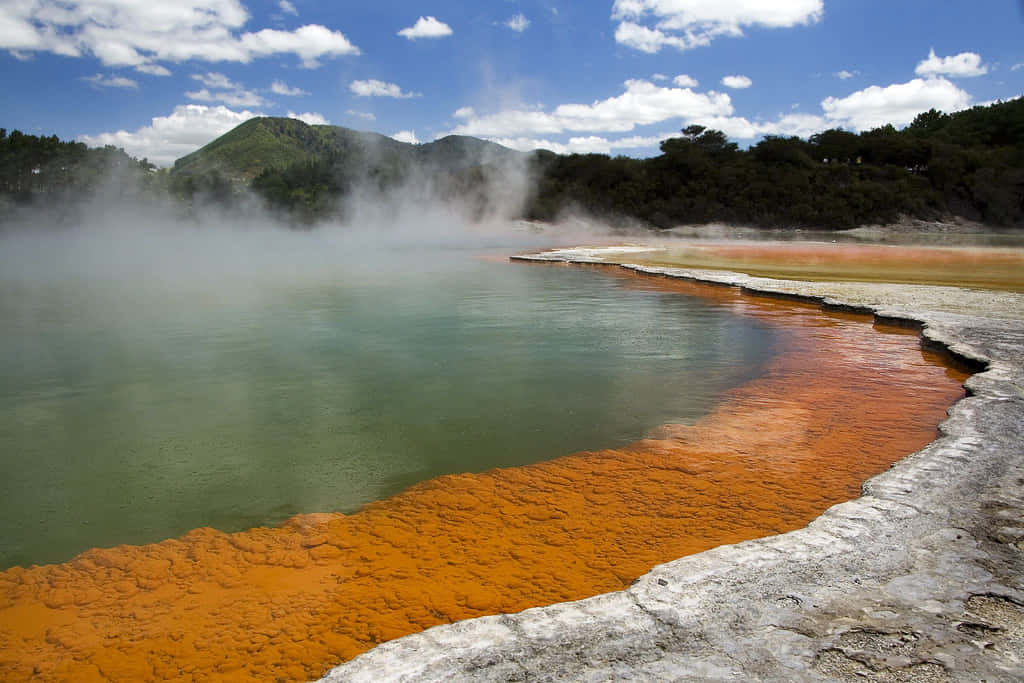 Rotorua Geothermal Wonderland.jpg Wallpaper