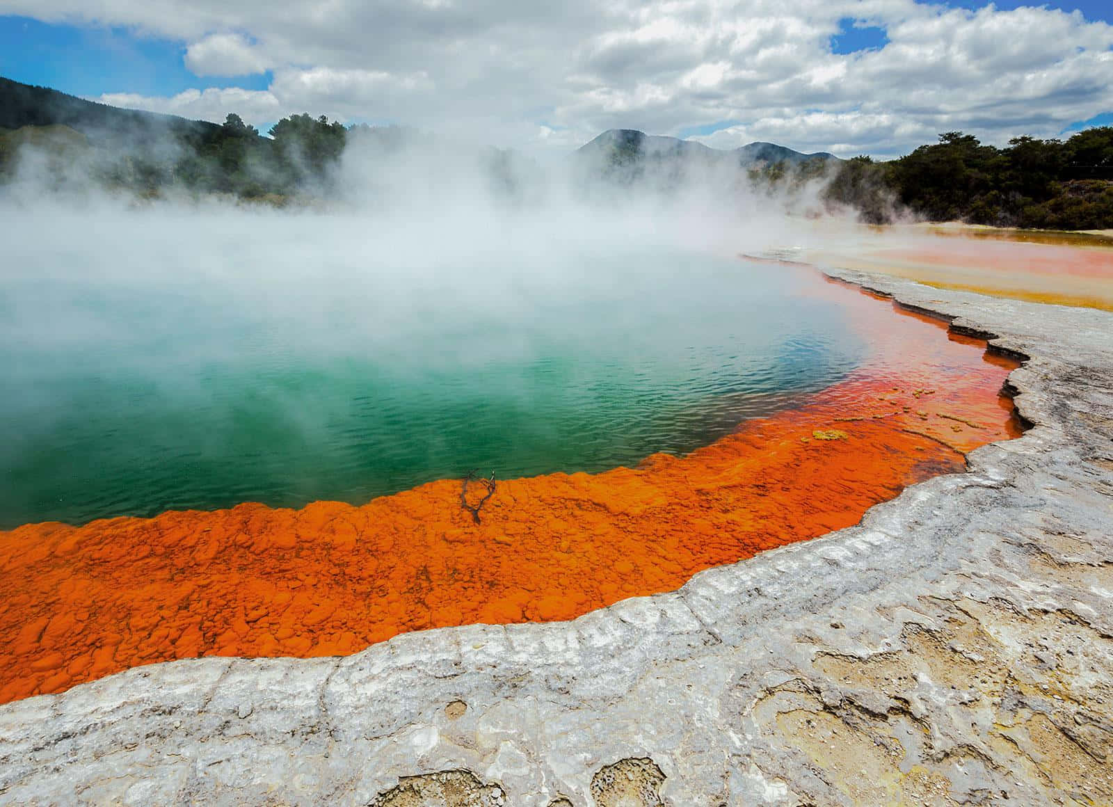 Rotorua Geothermal Wonderland Wallpaper