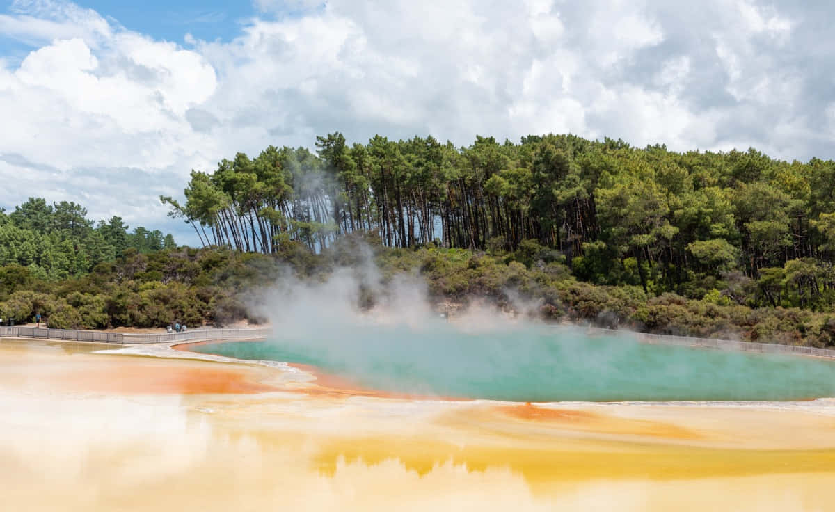 Rotorua Geothermal Wonderland Wallpaper