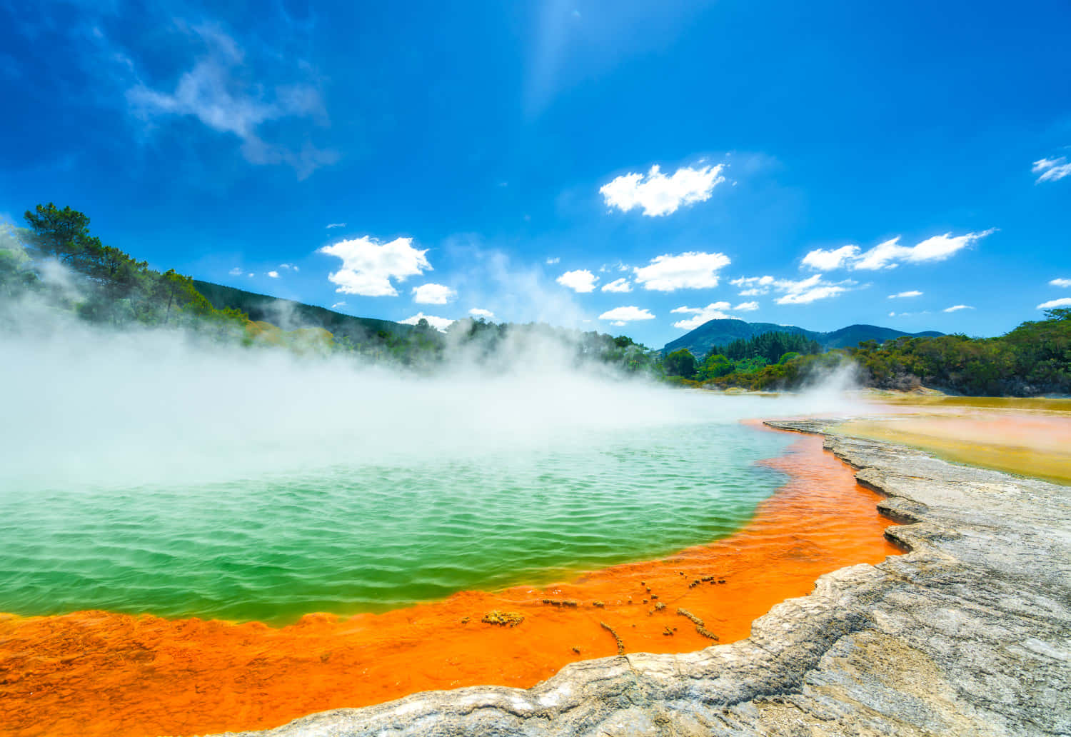 Rotorua Geothermal Wonderland Wallpaper