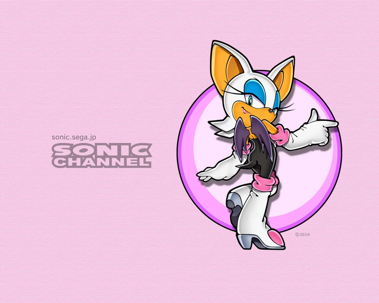 Rouge The Bat Striking A Pose In Her Signature Outfit Wallpaper