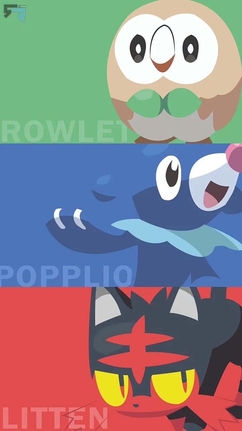 Rowlet, Popplio, And Litten Wallpaper