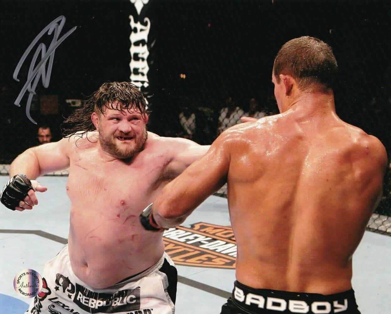 Roy Nelson And Junior Dos Santos Ufc 117 Wallpaper