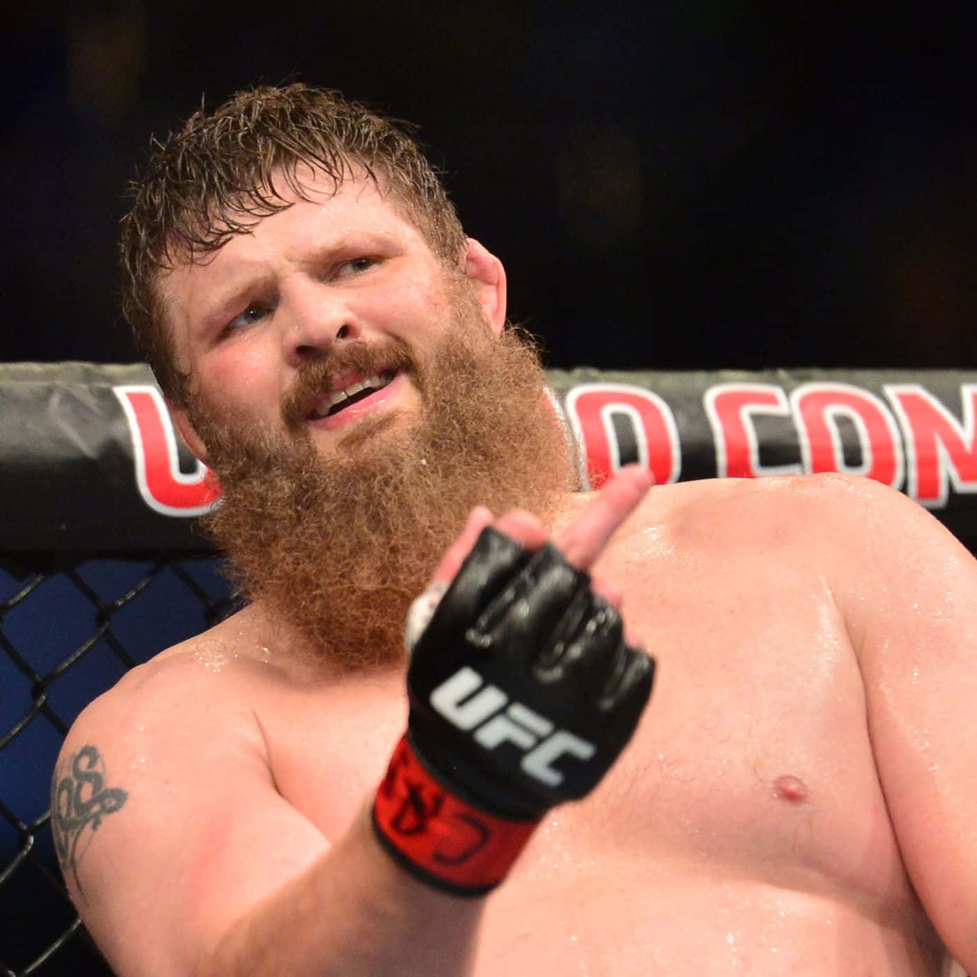 Roy Nelson Makes Derogatory Hand Sign Wallpaper