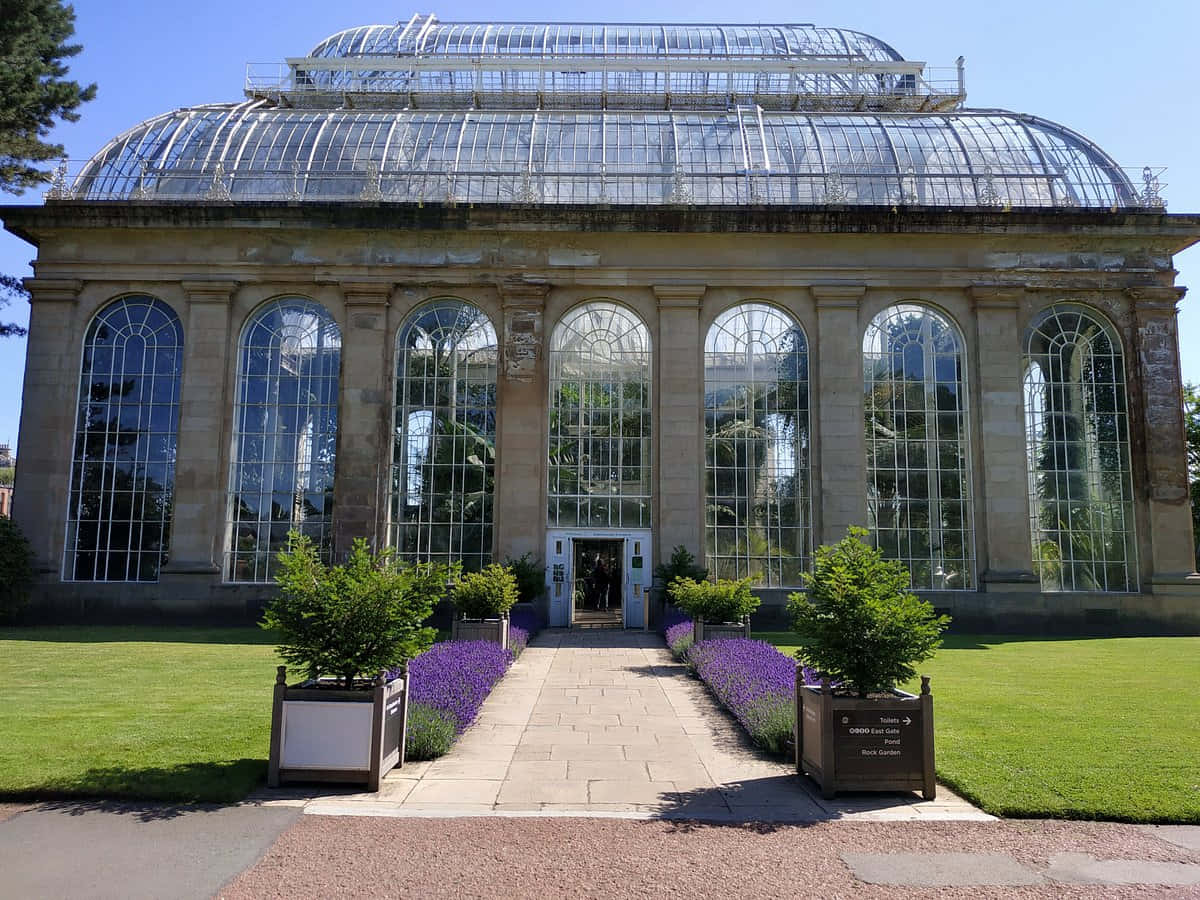 Royal Botanic Garden Edinburgh Glasshouse Wallpaper