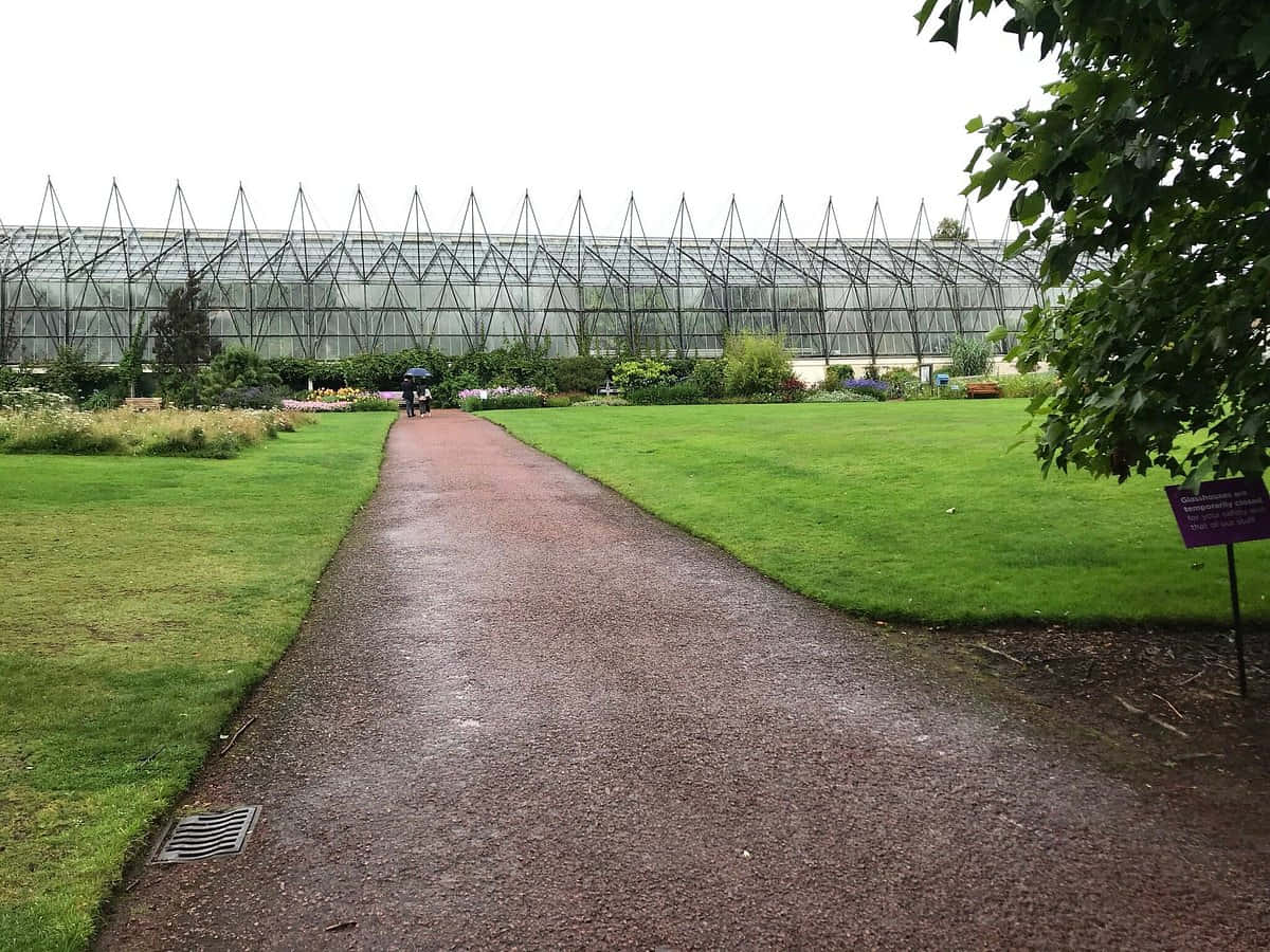 Royal Botanic Garden Edinburgh Glasshouse Pathway Wallpaper