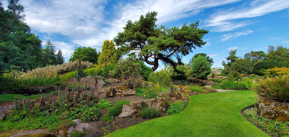 Royal Botanic Garden Edinburgh Lush Greenery Wallpaper