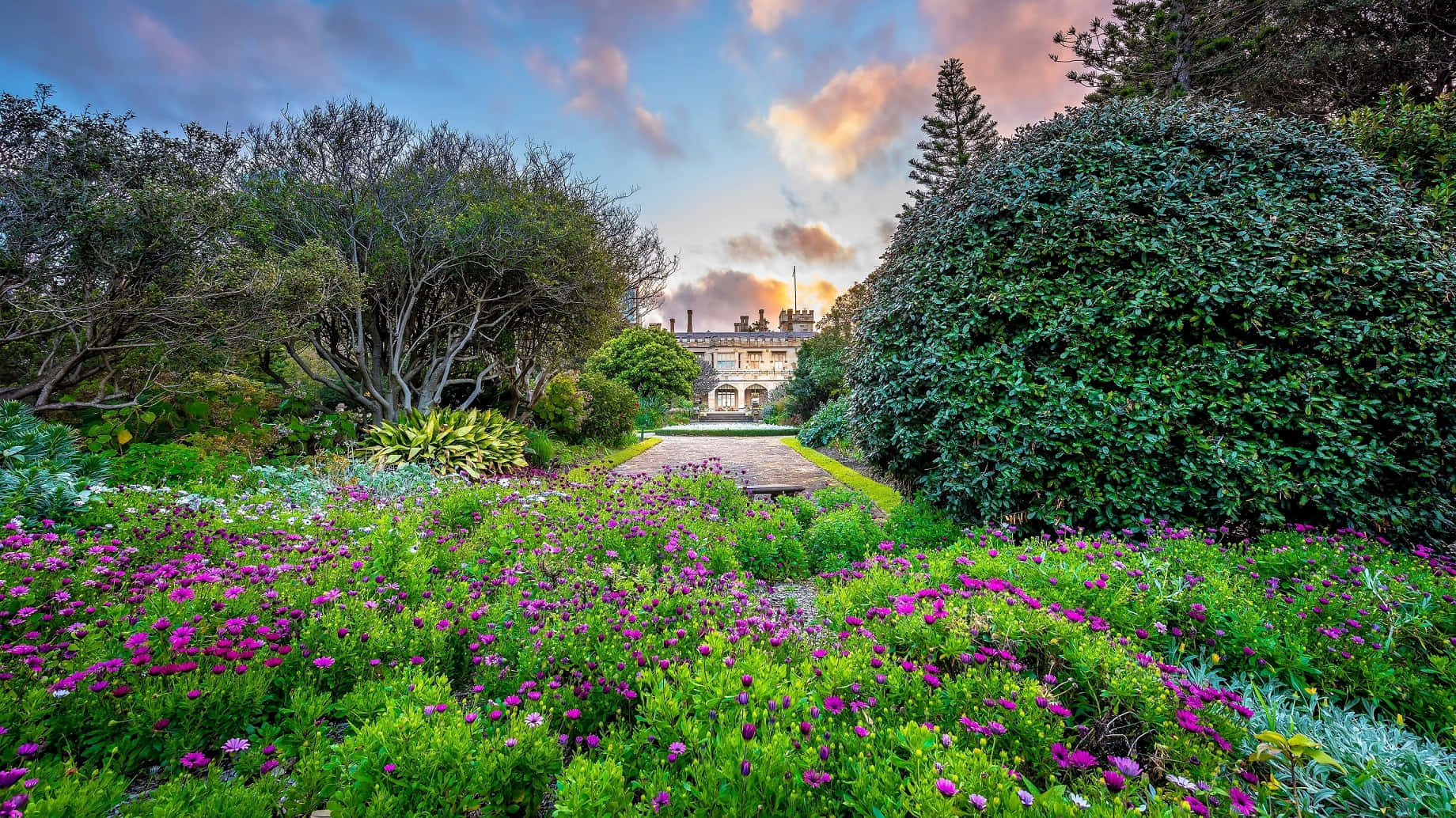 Royal Botanic Garden Sydney Floral Pathway Wallpaper