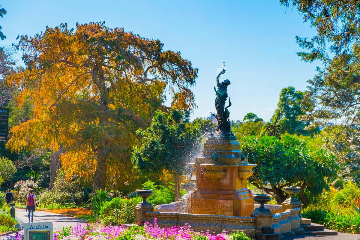 Royal Botanic Garden Sydney Fountain Statue Wallpaper