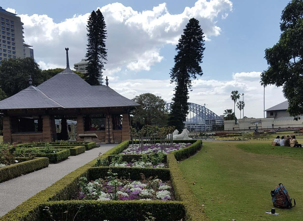 Royal Botanic Garden Sydney Pavilionand Harbour Bridge Wallpaper