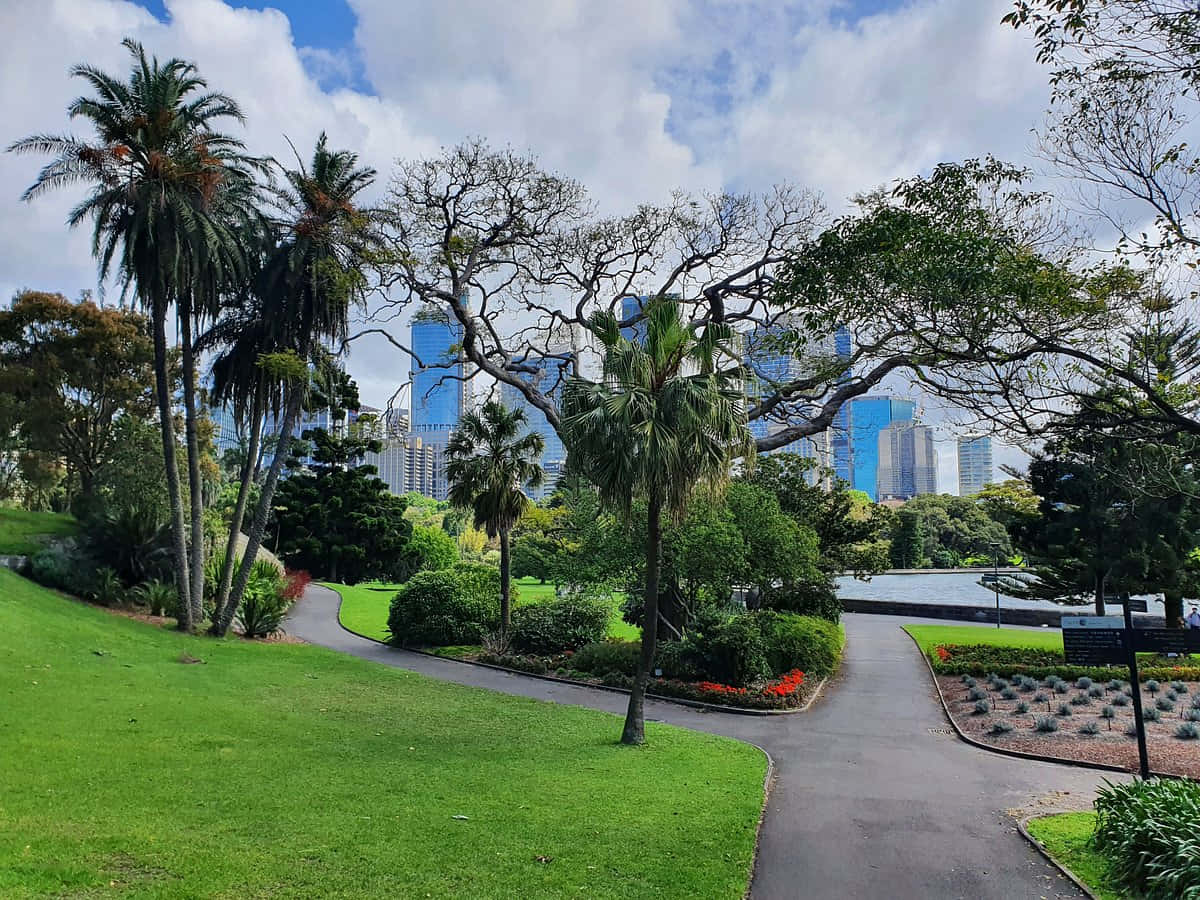 Royal Botanic Garden Sydney Scenic View Wallpaper