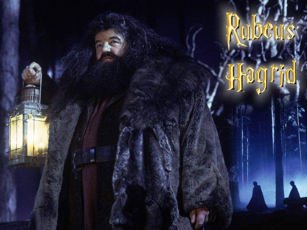 Rubeus Hagrid Harry Potter Laptop Wallpaper