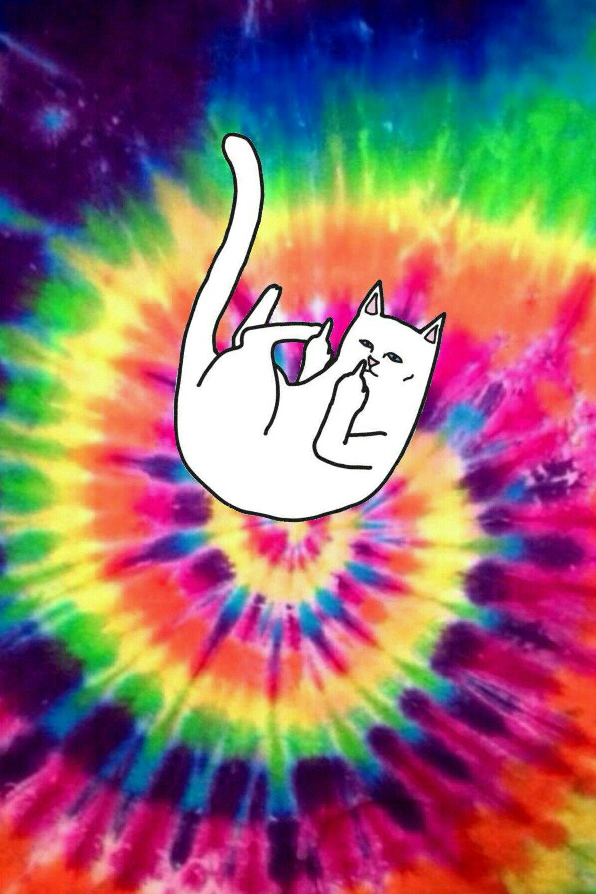 Rude White Cat In A Tie Dye Wallpaper