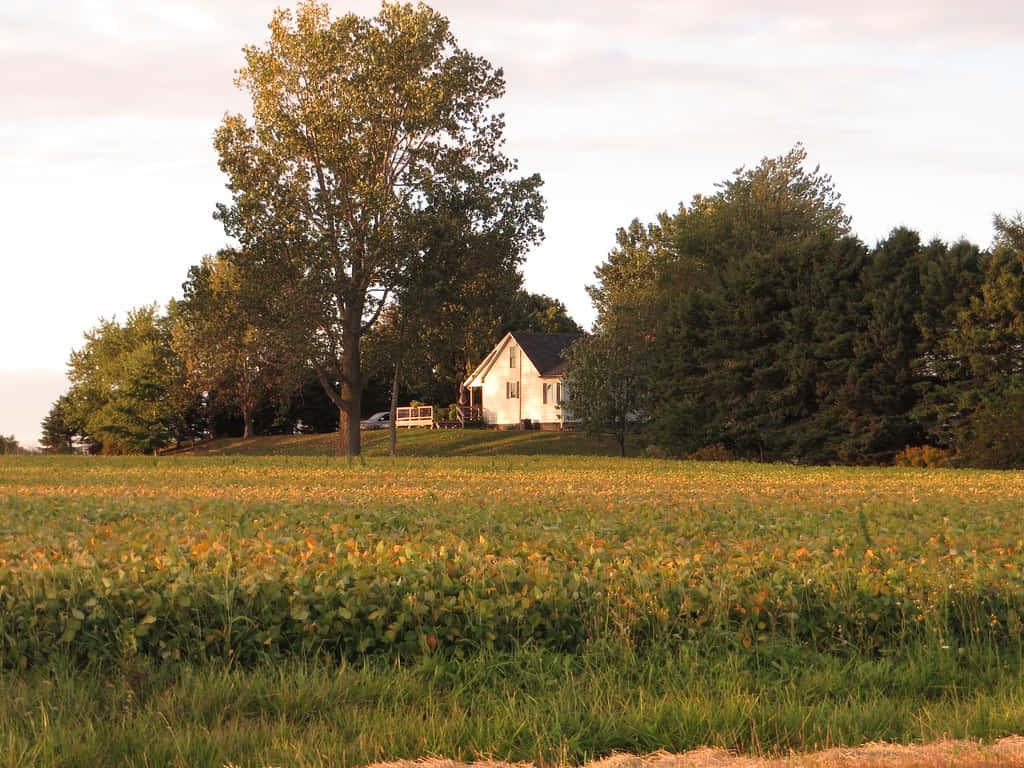 Rural Sunset Home Chatham Kent Wallpaper