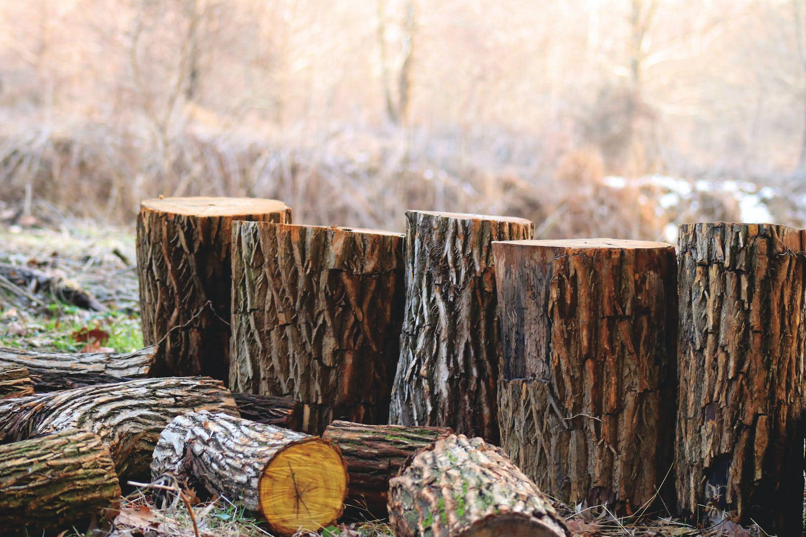 Rustic Fall Wood Logs Wallpaper