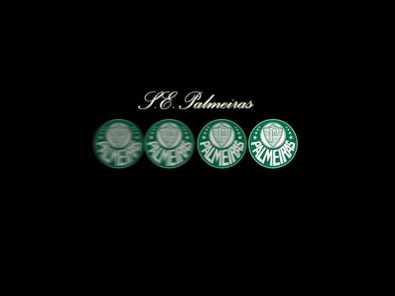 S.e. Palmeiras Cursive Wallpaper