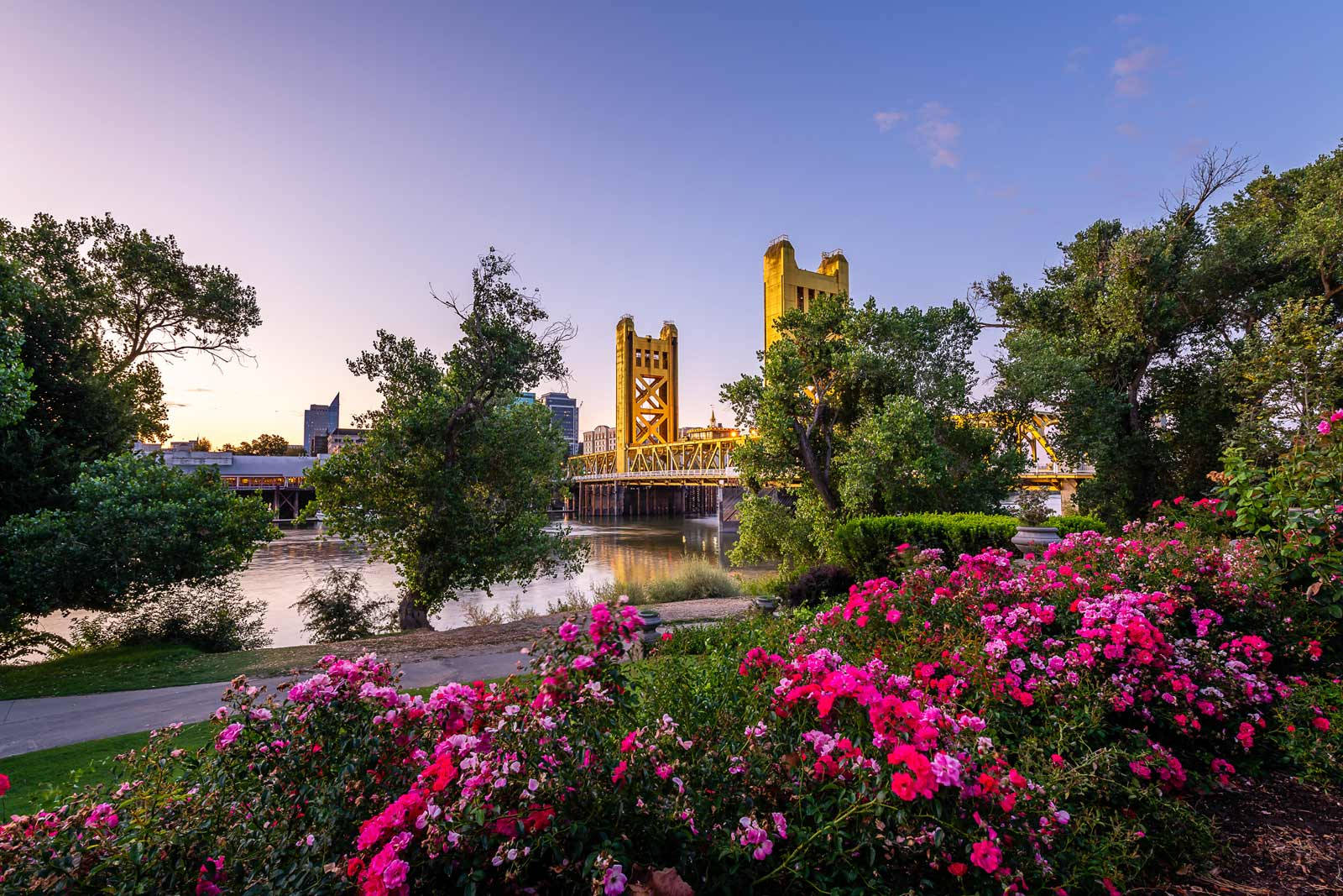 Sacramento Riverside Gardens Wallpaper