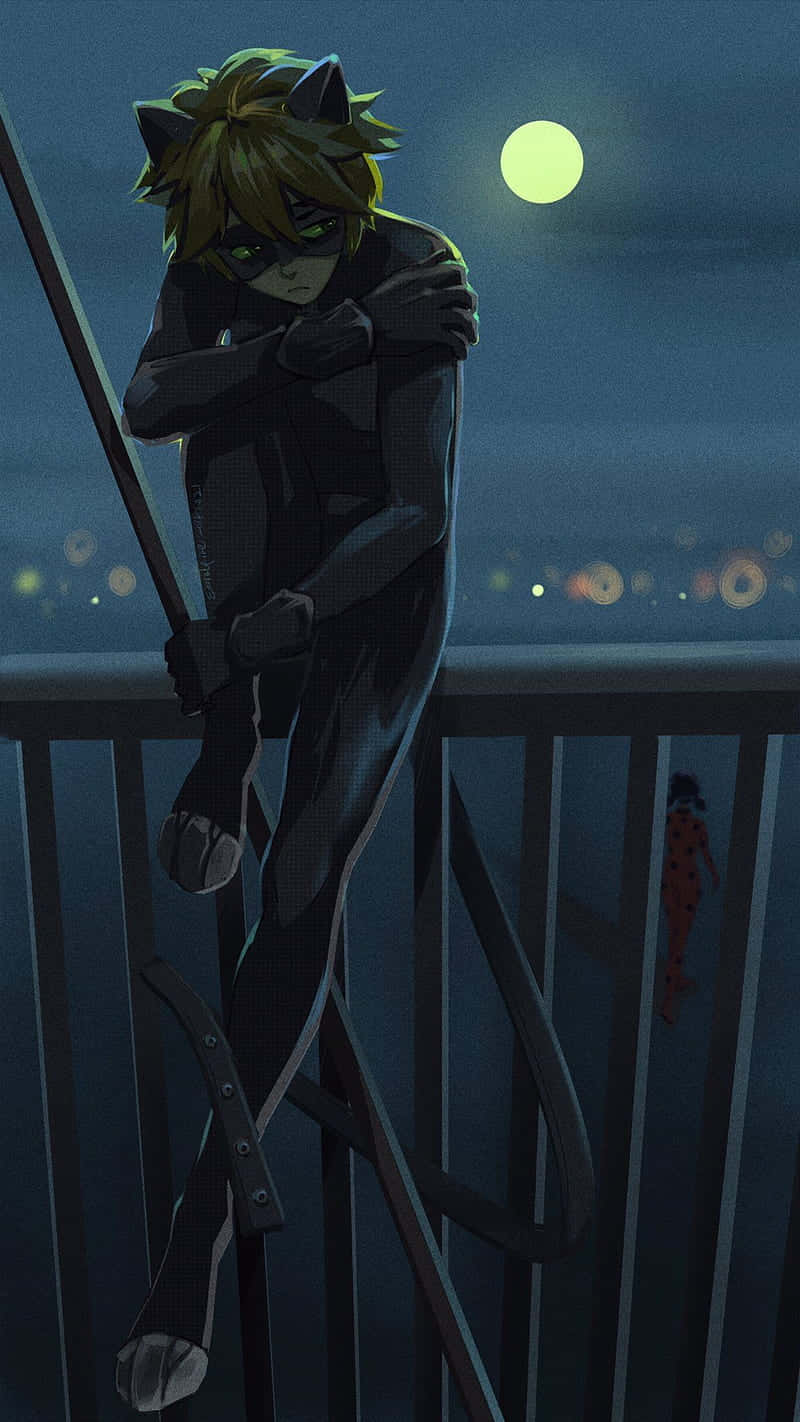 Sad Cute Cat Noir On The Terrace Wallpaper