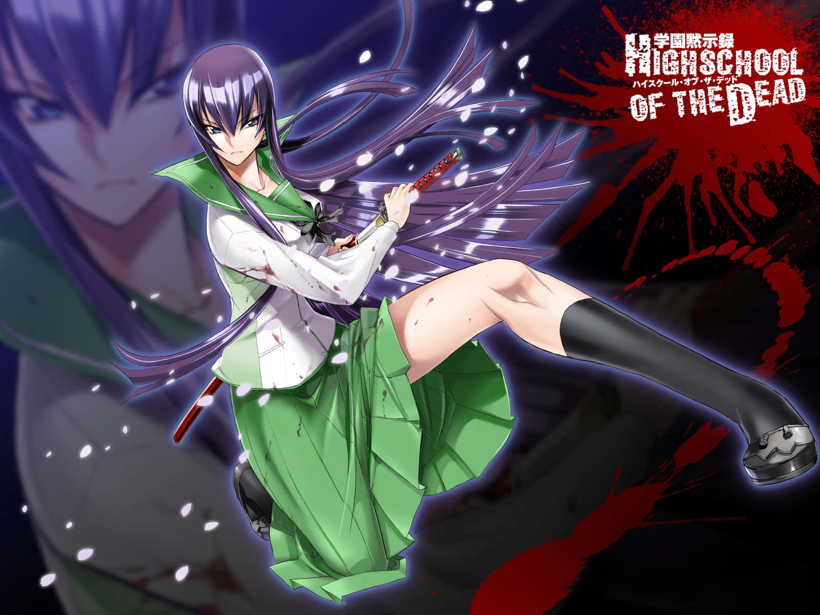 Saeko Busujima In Action Wallpaper