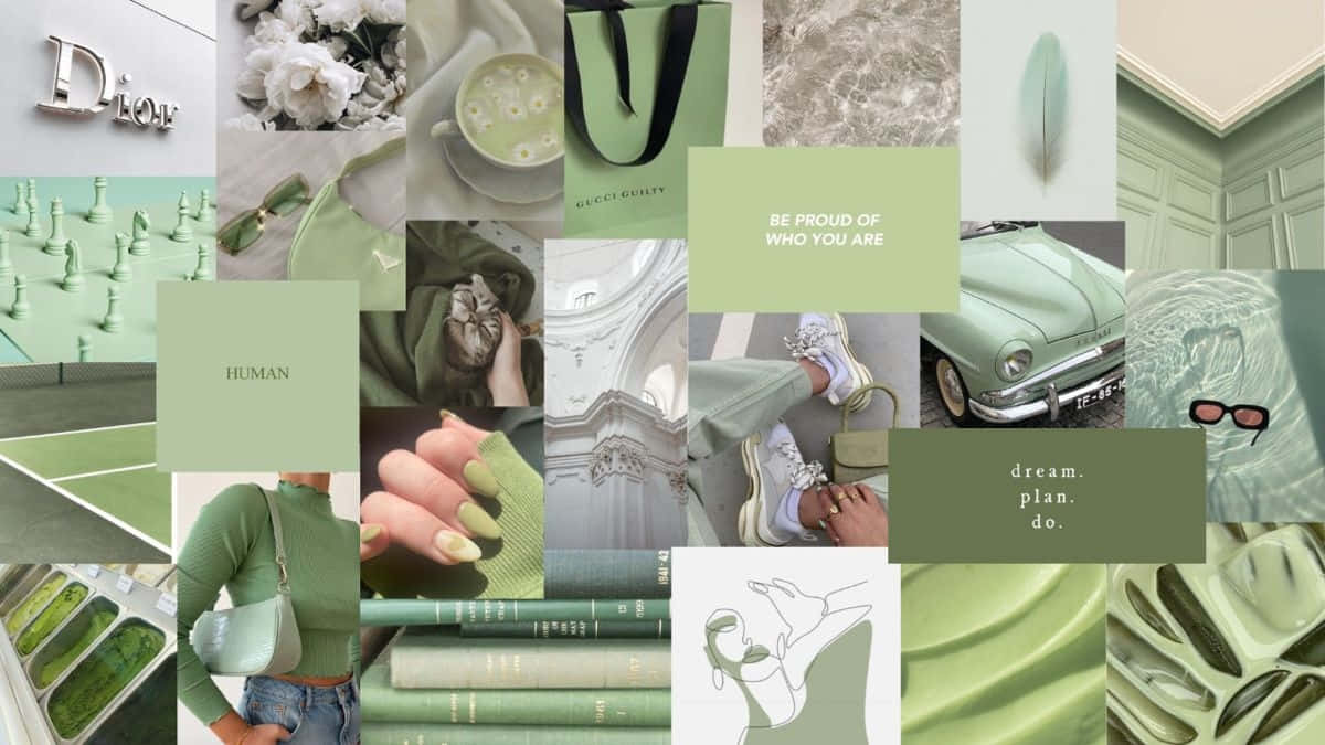 Sage Green Aesthetic Collage Wallpaper