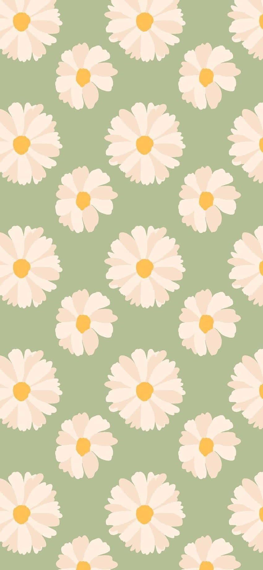 Sage Green Daisy Pattern Wallpaper