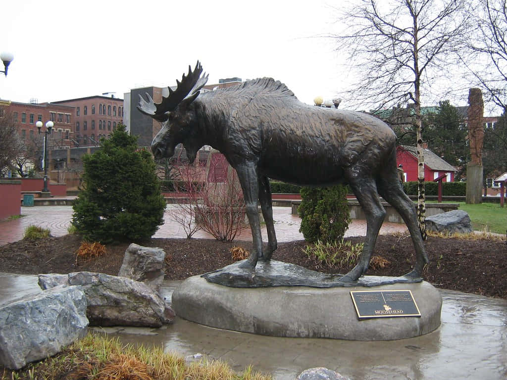 Saint John Moose Statue Wallpaper