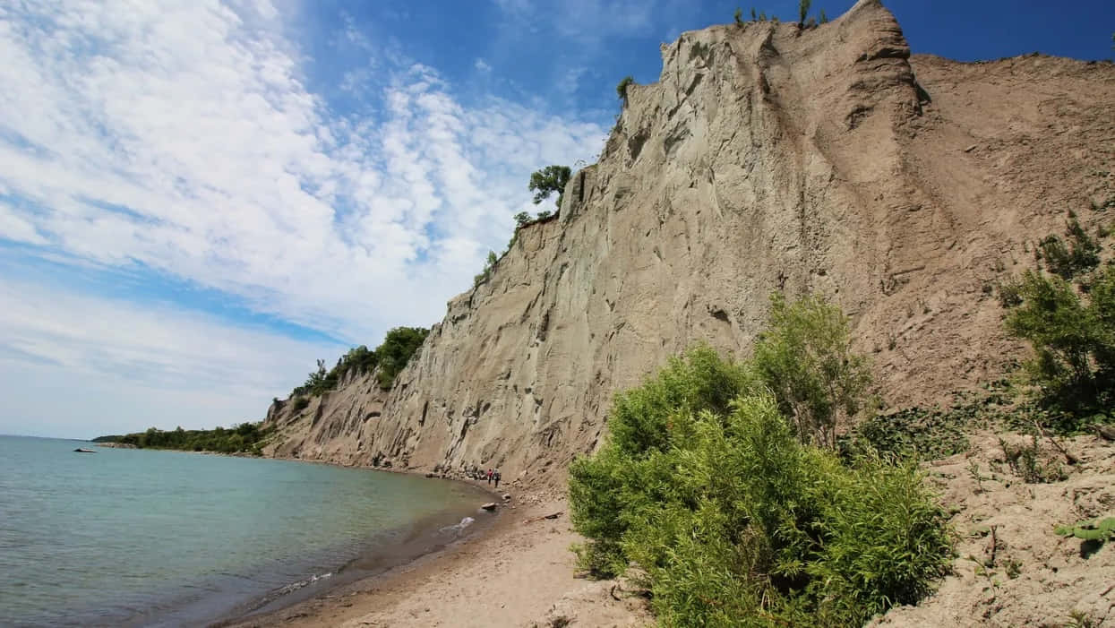 Scarborough_ Bluffs_ Sunny_ Day Wallpaper