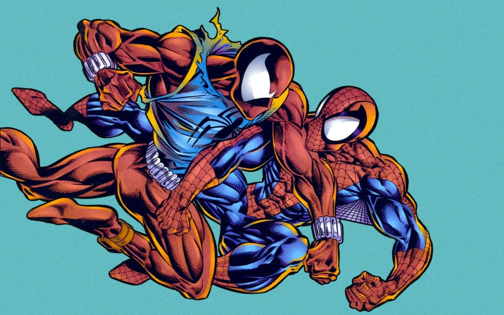 Scarlet_ Spider_vs_ Spider Man_ Artwork Wallpaper