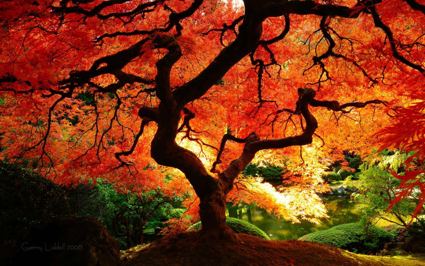 Scenic Autumn Landscape During The Autumnal Equinox Wallpaper