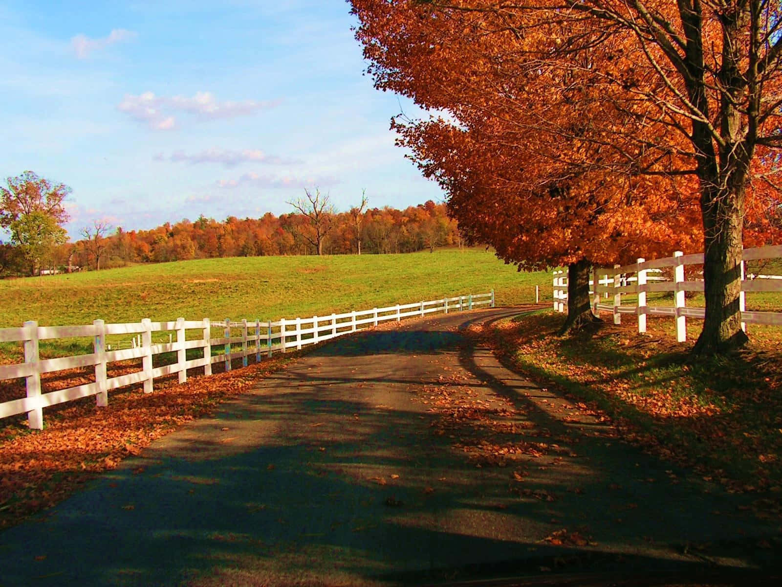 Scenic Fall Country Landscape Wallpaper