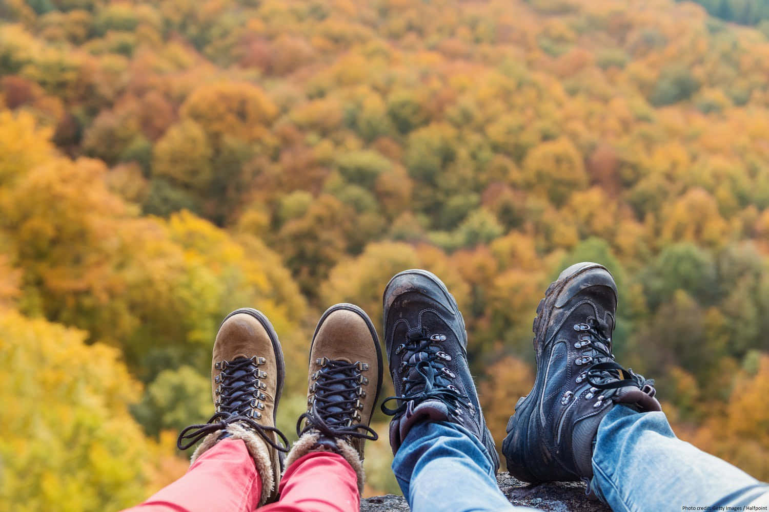 Scenic Fall Hike Amidst Colorful Foliage Wallpaper