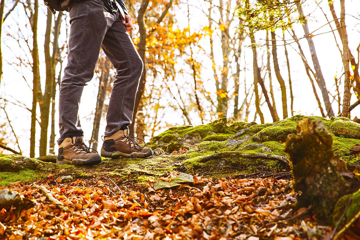 Scenic Fall Hike - Colorful Forest Trail Wallpaper