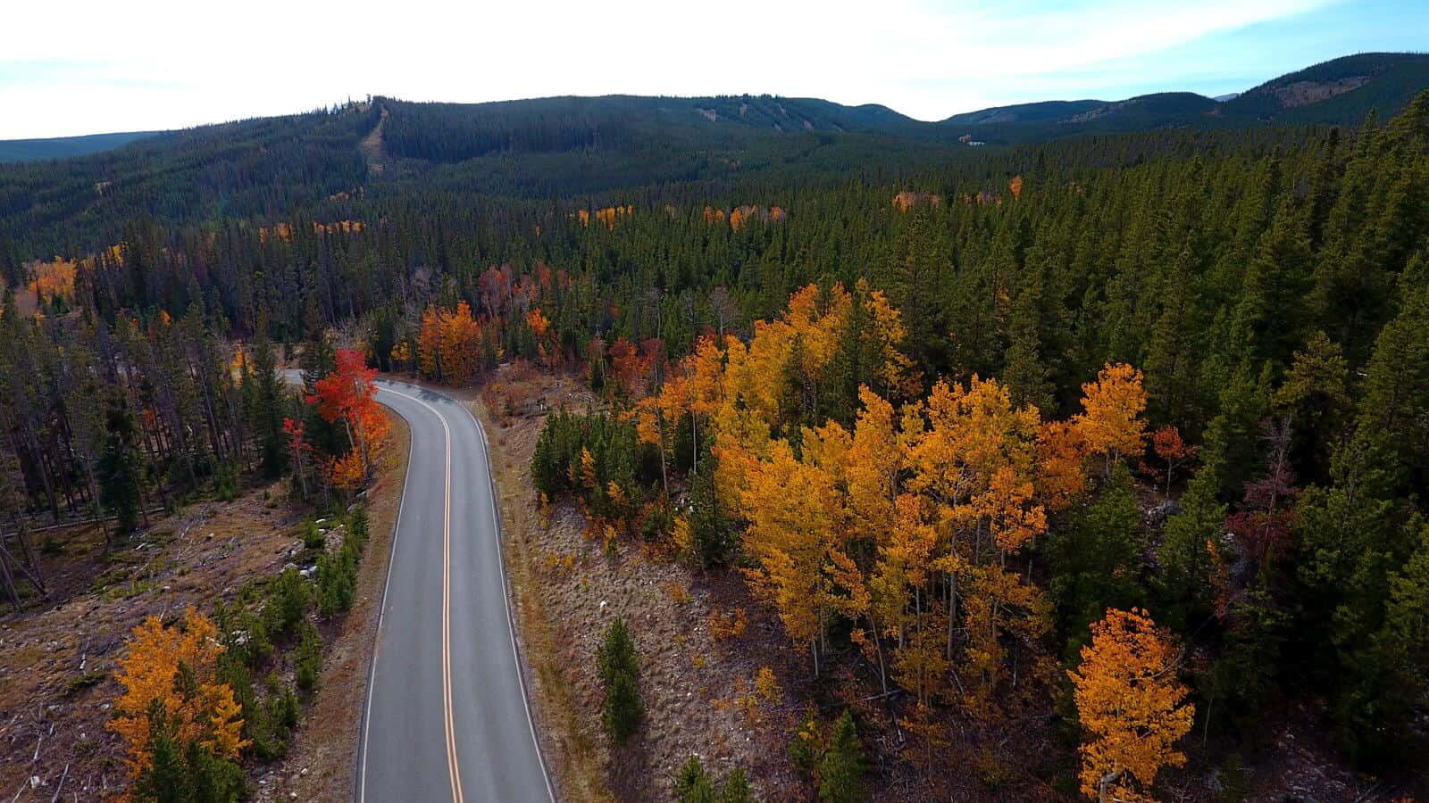 Scenic Fall Road In Vibrant Autumn Forest Wallpaper