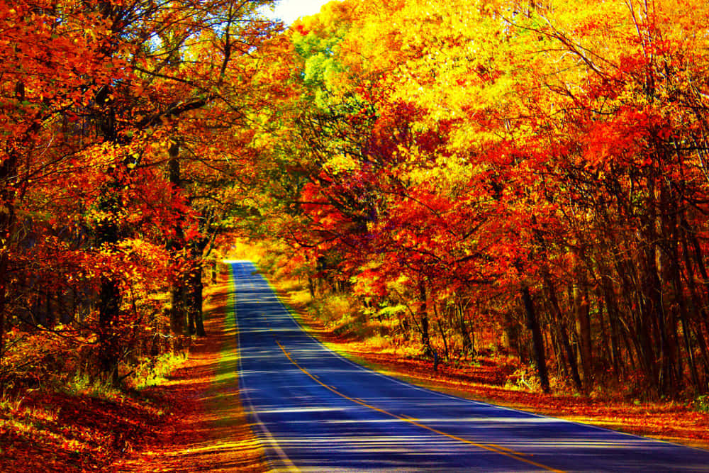 Scenic Fall Road Journey Wallpaper