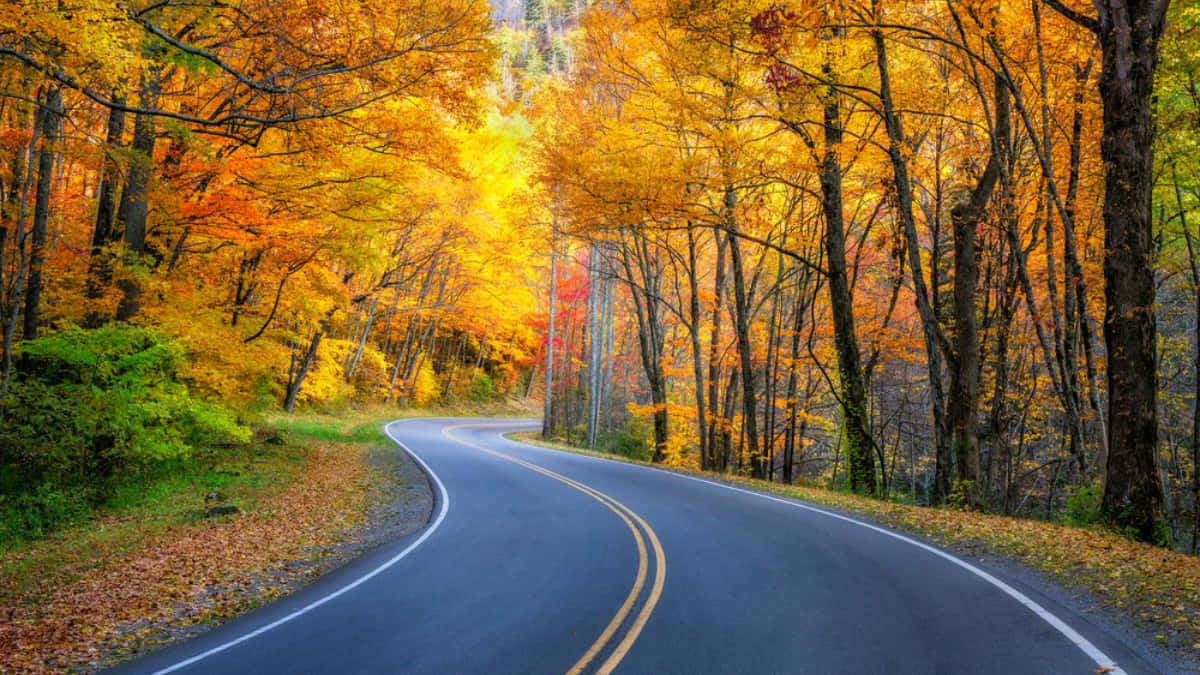 Scenic Fall Road Journey Wallpaper