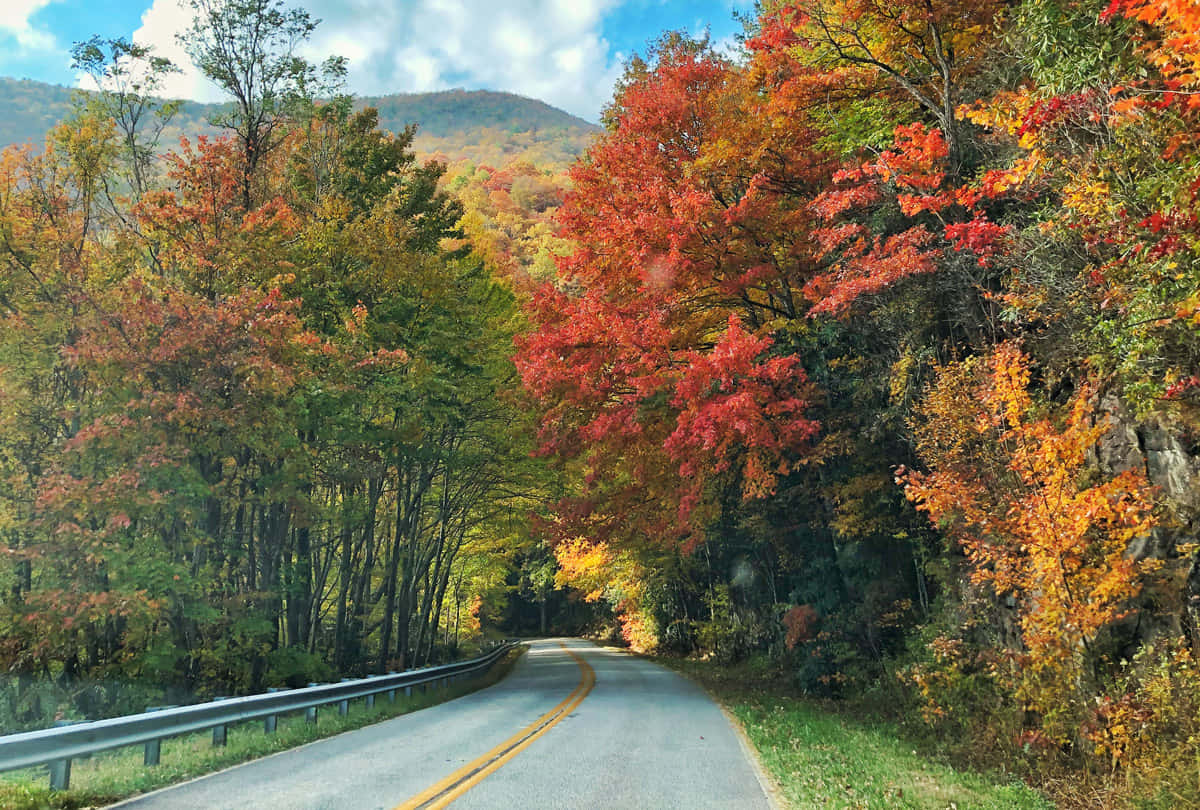 Scenic Fall Road Journey Wallpaper