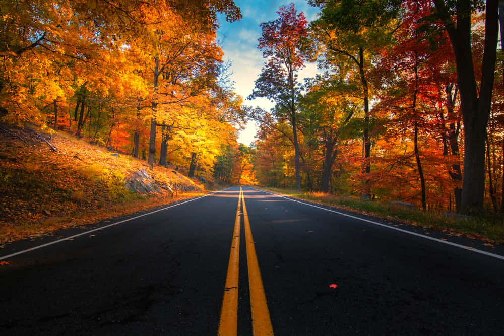 Scenic Fall Road Wallpaper