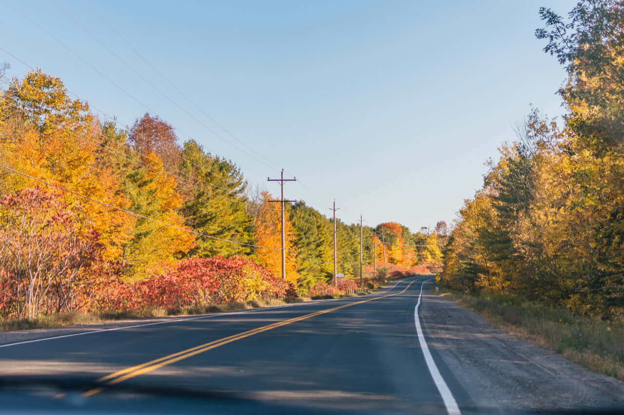 Scenic Fall Road Through An Enchanting Forest Wallpaper