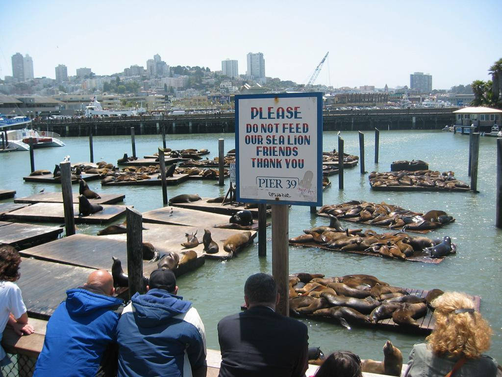 Scenic View Of Fisherman's Wharf At Pier 39 Wallpaper