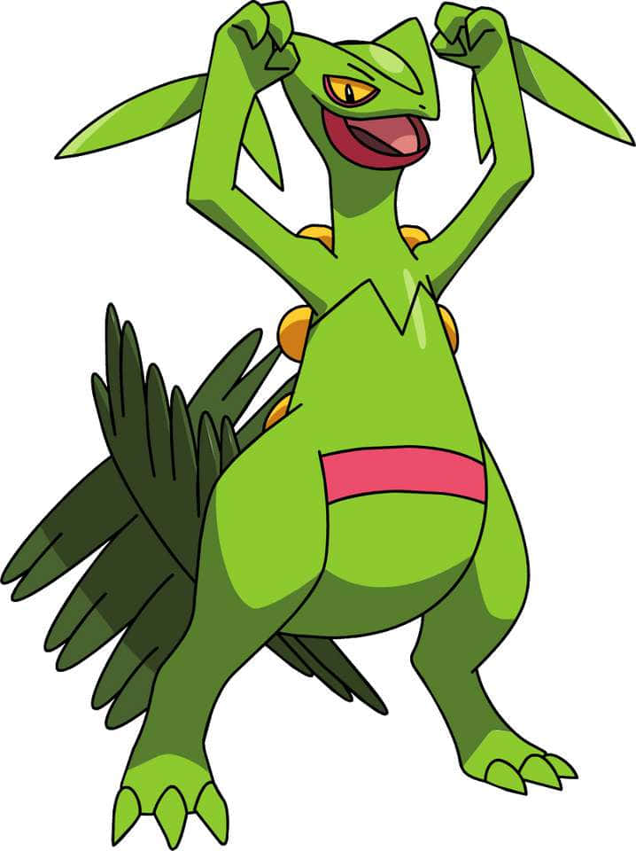 Sceptile Pokemon Character Artwork Wallpaper