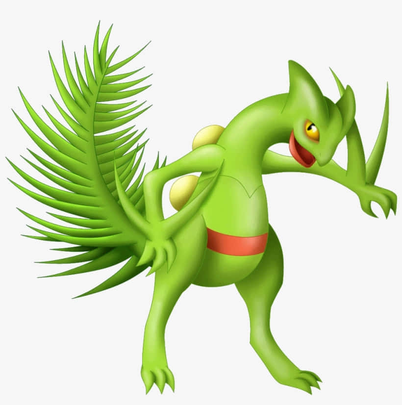 Sceptile Pokemon Character Wallpaper