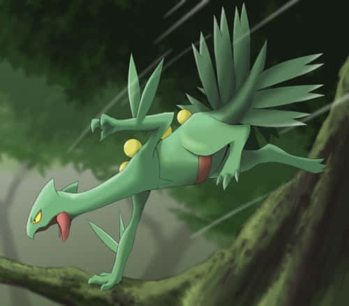 Sceptile Pokemonin Forest Wallpaper