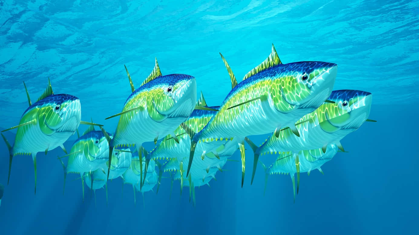 Schoolof Yellowfin Tuna Swimming Wallpaper