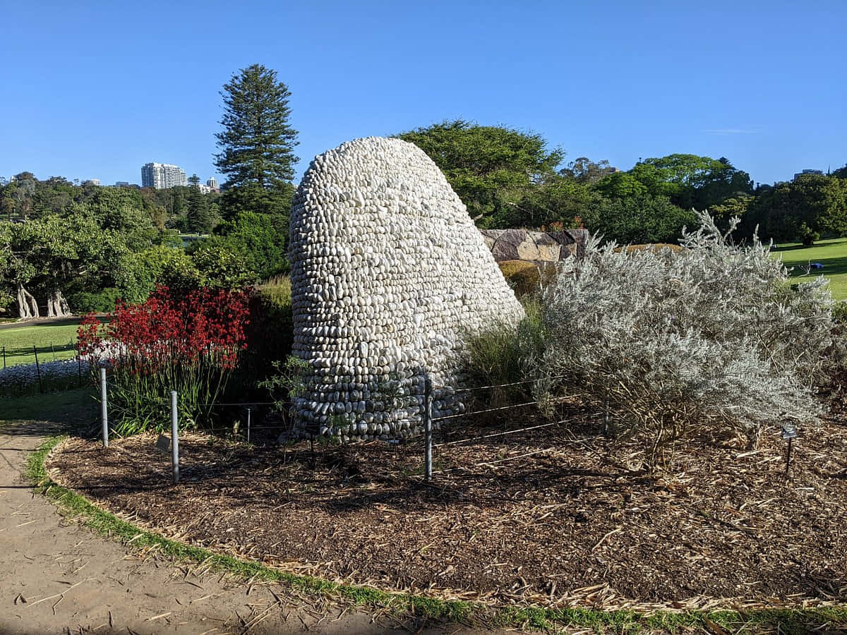 Sculptural Installation Royal Botanic Garden Sydney Wallpaper