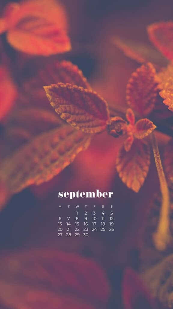 September Autumn Leaves Calendar Wallpaper Wallpaper